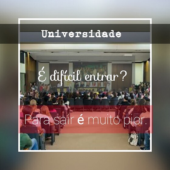 Universidade