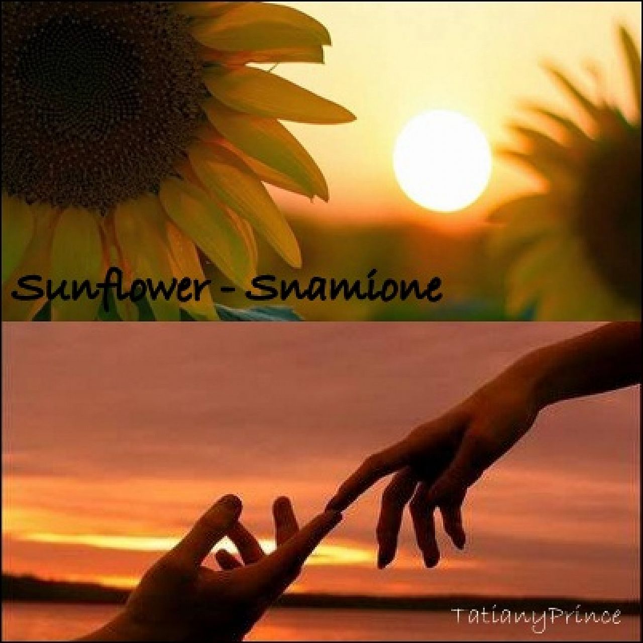Sunflower - Songfic