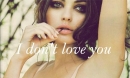 I Dont Love You