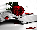 Rosas, sangue e casamento.