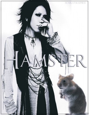 Eu e Um Hamster assassino