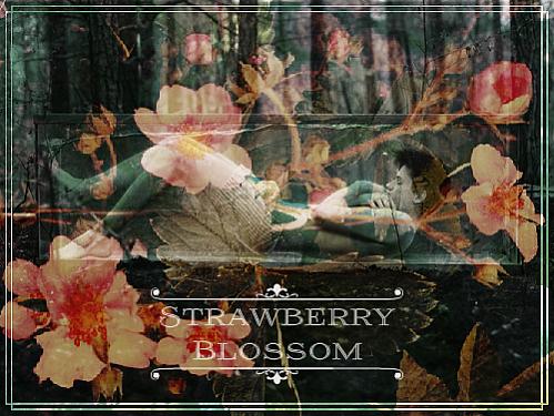 Strawberry Blossom