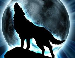 Wolf Story - Minha Vida