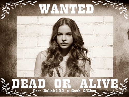 Wanted - Dead Or Alive
