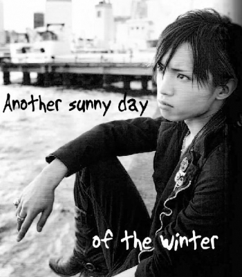 Another Sunny Day Of The Winter
