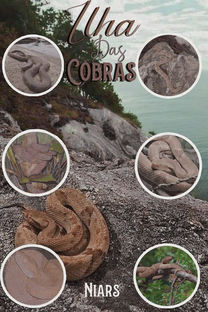Ilha das Cobras [DRABBLE 2020]