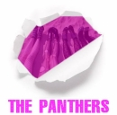 All Night Long-the Panthers(as Panteras)