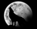 A lua dos lobos