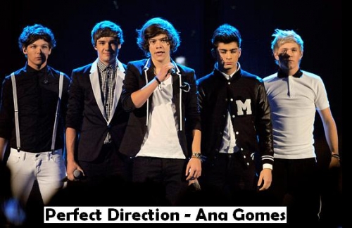 Perfect Direction
