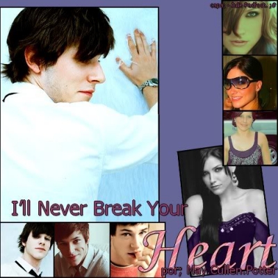 Ill Never Break Your Heart