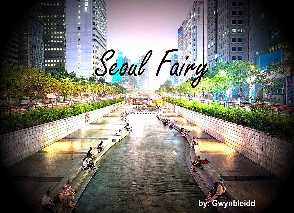 Seoul Fairy