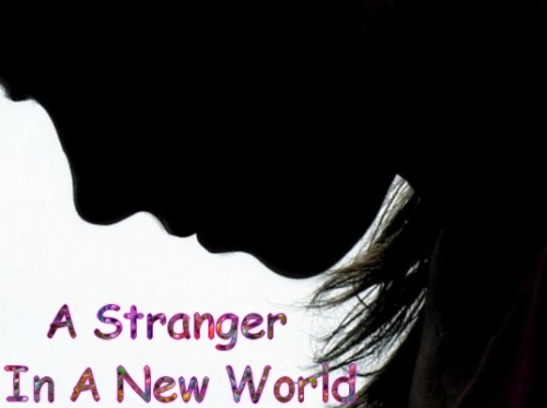 A Stranger In a New World