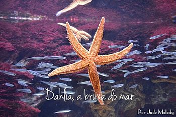 Dahlia, a bruxa do mar