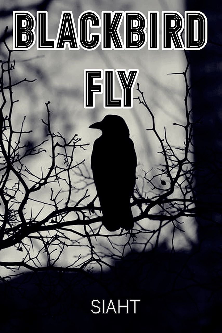 Blackbird, fly