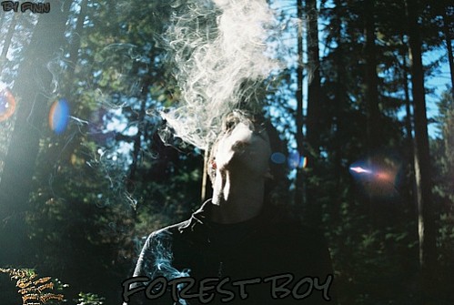 Forest Boy [hiatus]