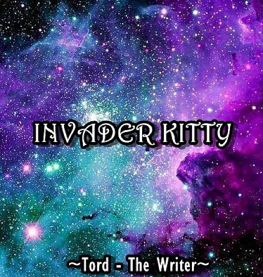 Invader Kitty