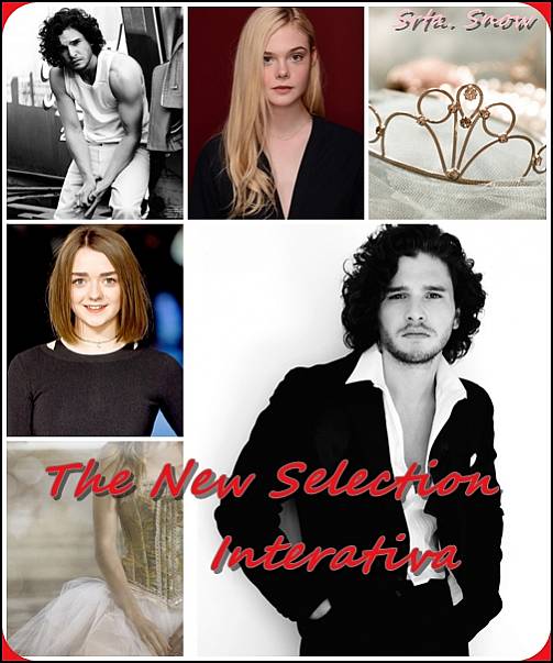 The New Selection - Interativa