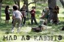 Mad as Rabbits