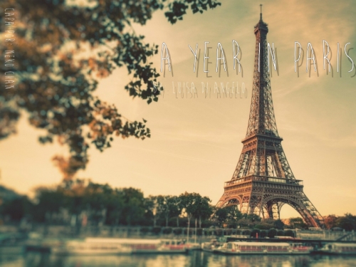 A Year In Paris