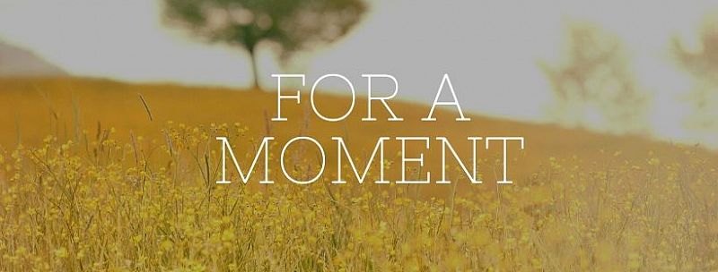For a moment - CIP