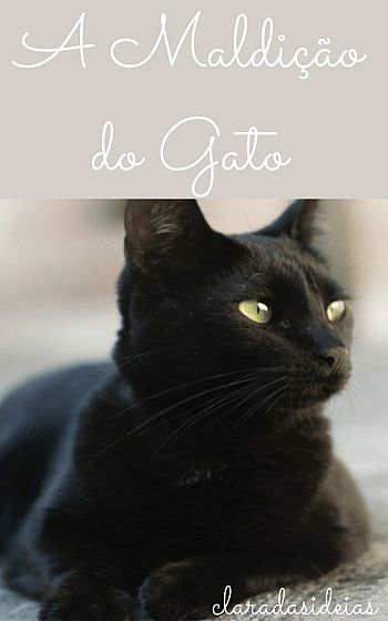 A maldição do gato