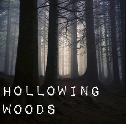 Hollowing Woods