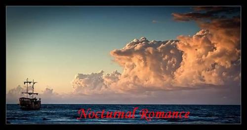 Nocturnal Romance