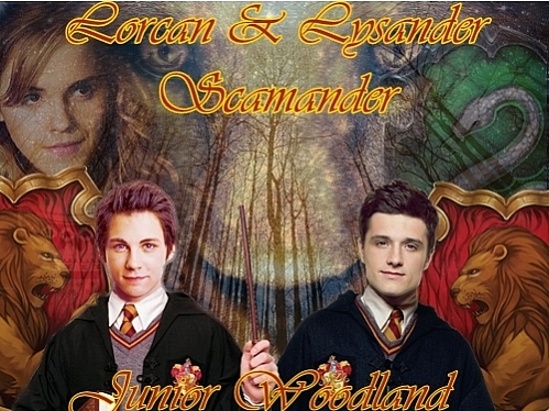 Lorcan e Lysander Scamander