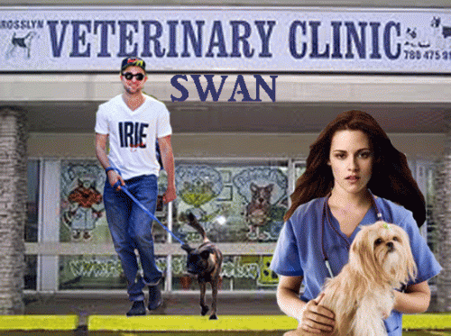 Veterinary Clinic Swan