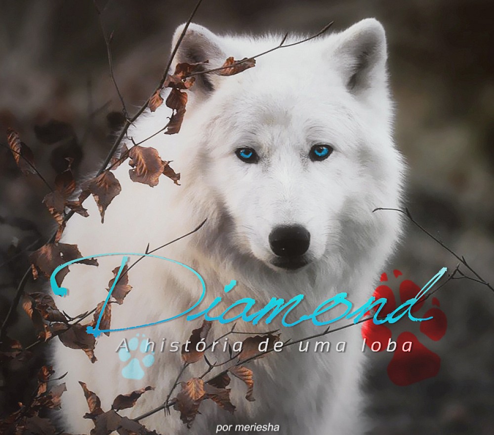 Diamond: A história de uma loba