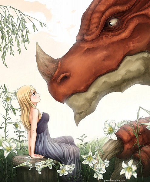 A Princesa e O Dragão