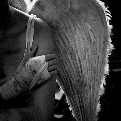 Entre anjos
