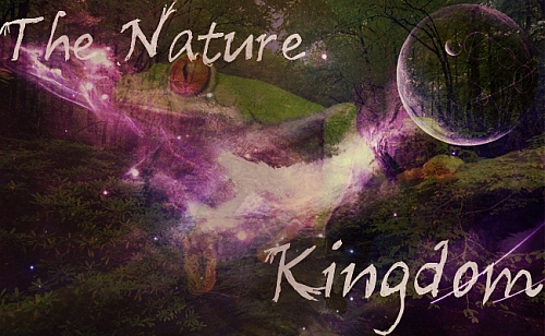 The Nature Kingdom