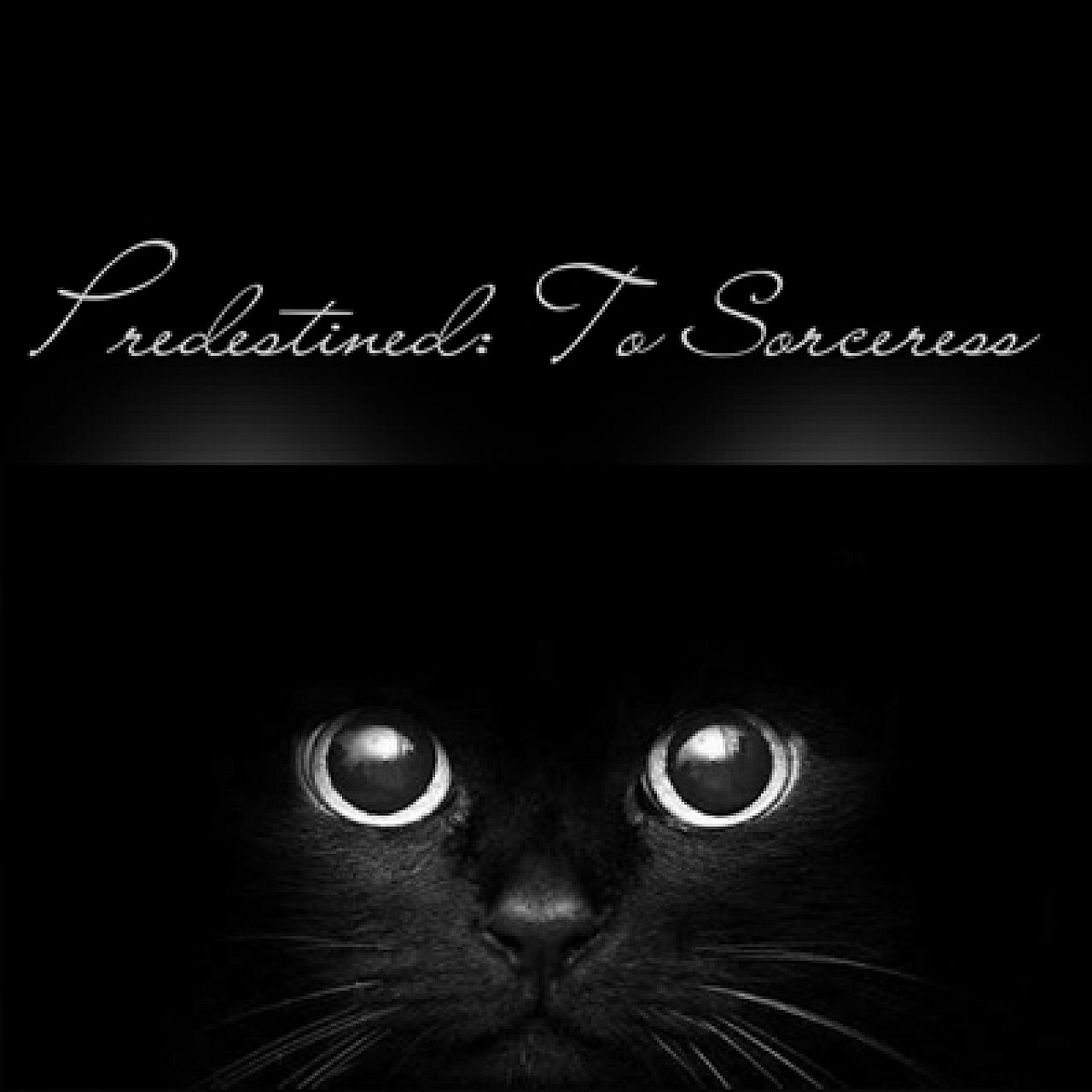 Predestined: To Sorceress
