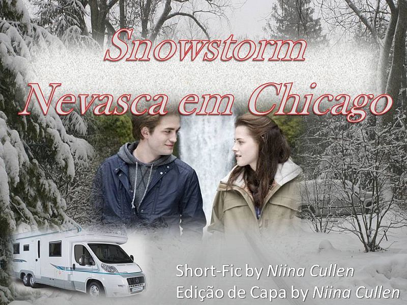 Snowstorm: Nevasca em Chicago