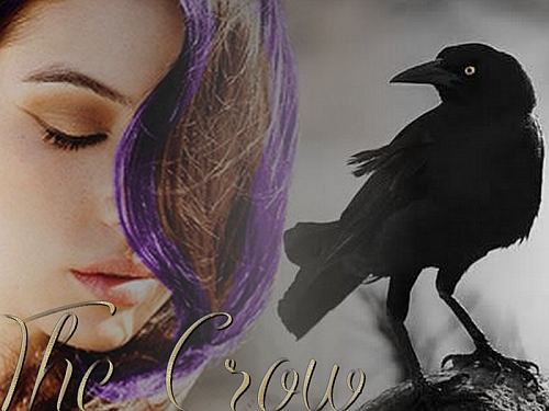 - The Crow - ||HIATUS||