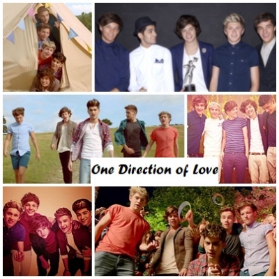 One Direction of Love