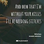 Stitches : Como se perder em 30 dias