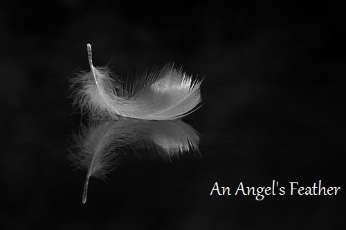 An Angels Feather