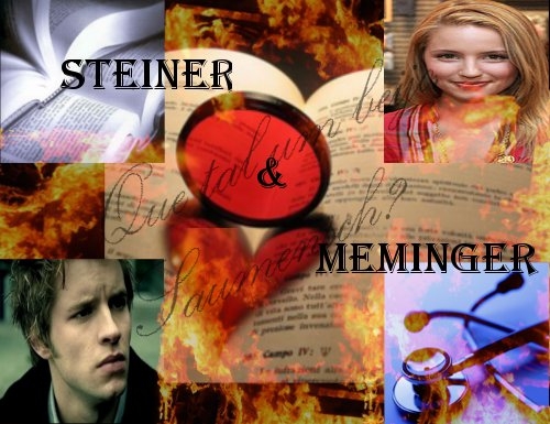 Steiner e Meminger