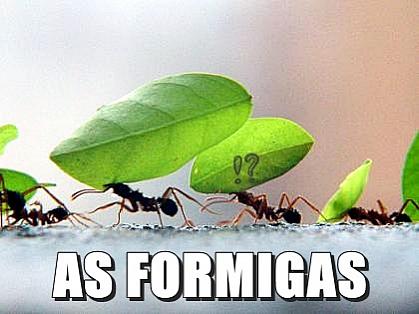 As Formigas