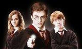 Harry Potter e Hany Potter