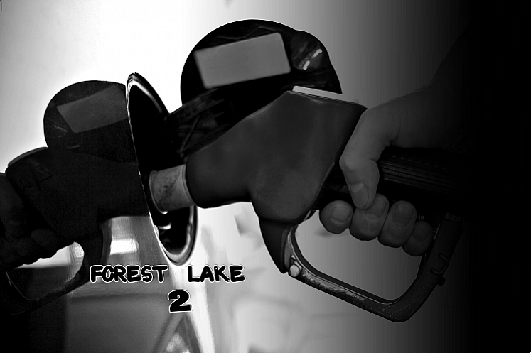 Forest Lake 2