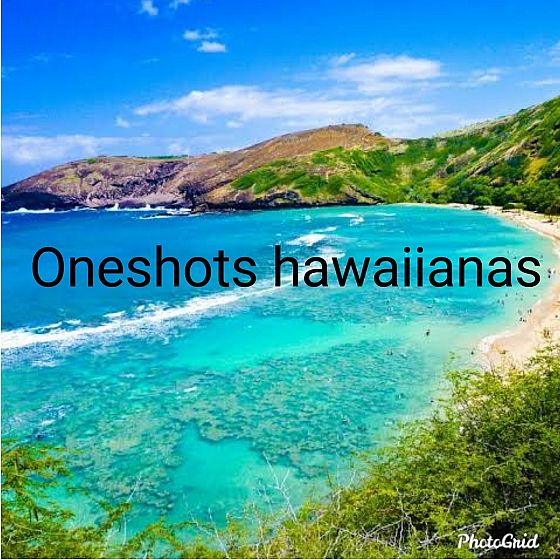 Oneshots Havaianas