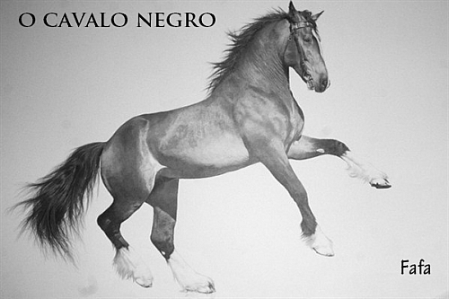 O Cavalo Negro