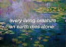 Todas as criaturas do mundo morrem sozinhas