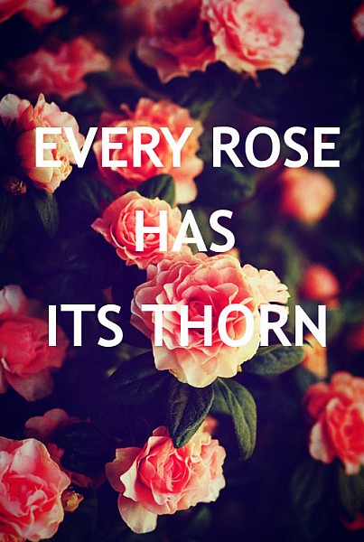 Toda rosa tem seu espinho