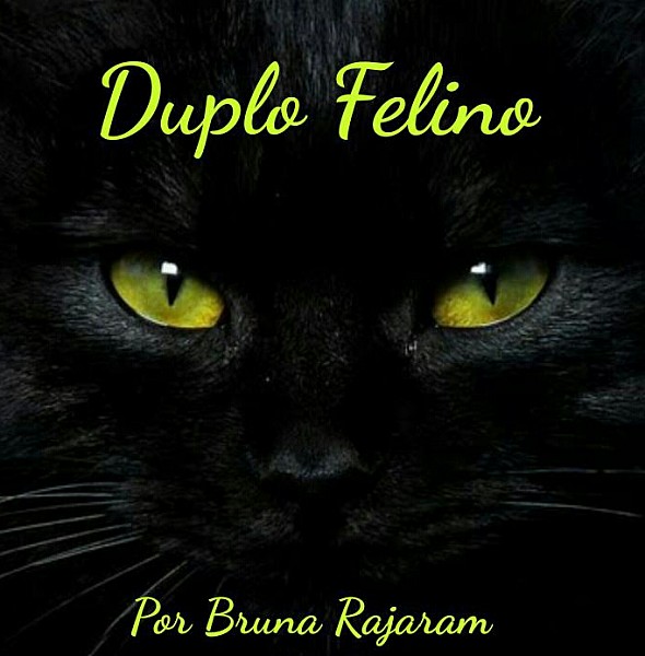 Duplo Felino
