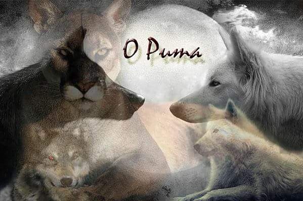 O Puma