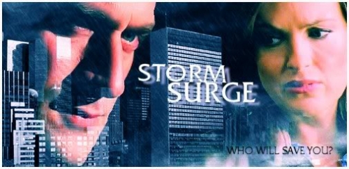 Storm Surge: Who Will Save You?